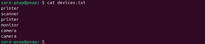 cat devices.txt terminal output