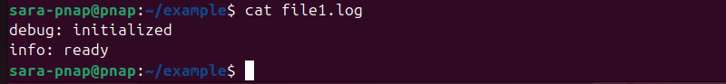 cat file1.log terminal output