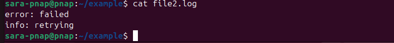 cat file2.log terminal output