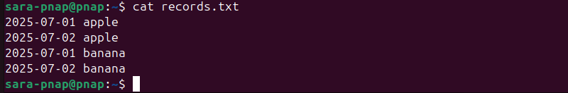 cat records.txt terminal output