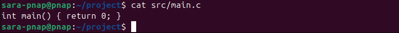 cat src/main.c terminal output
