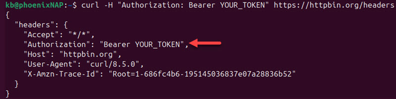 curl custom header terminal output