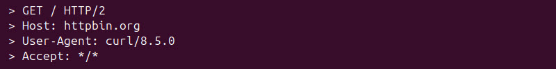 curl default headers terminal output