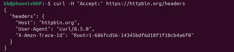 curl empty header terminal output