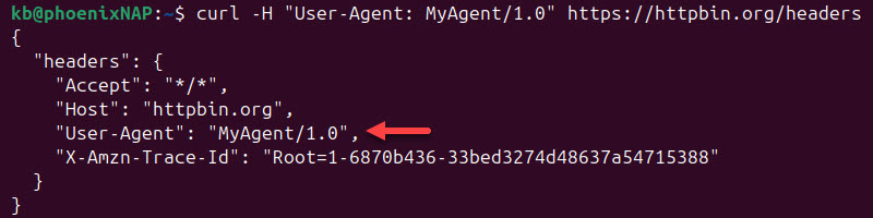 curl -h edit default headers terminal output