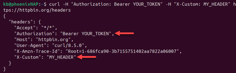 curl multiple headers terminal output