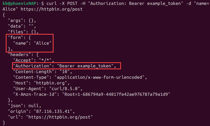 curl post authorization token and form data terminal output