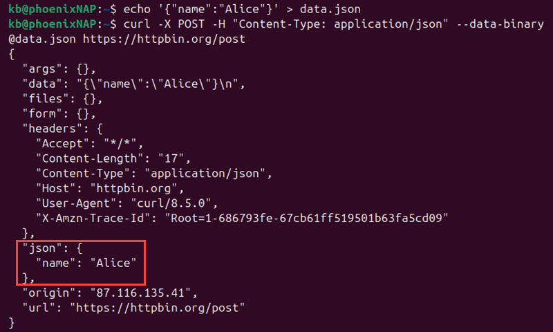 curl post data from file terminal output
