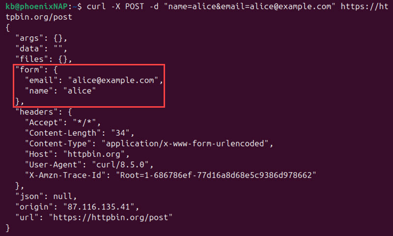 curl post form data terminal output