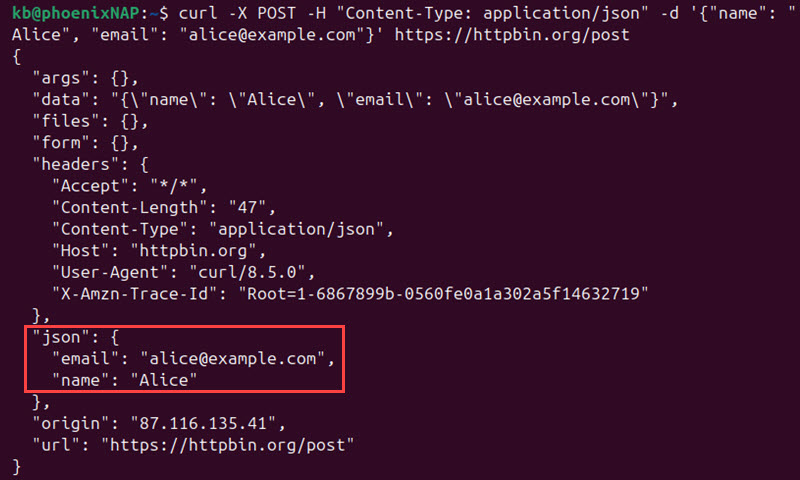 curl post JSON data terminal output