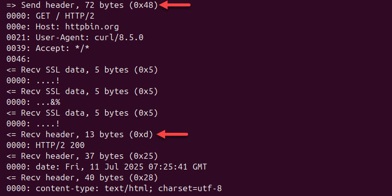curl --trace-ascii terminal output headers
