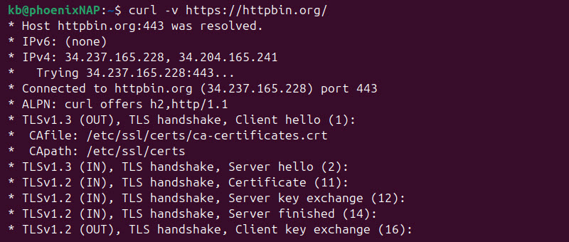 curl -v terminal output