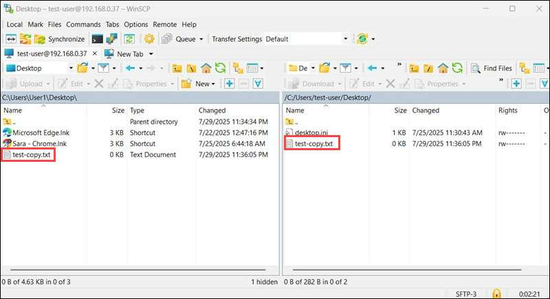 Dual pane with transferred file