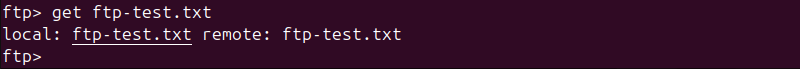 get ftp-test.txt terminal output