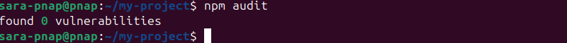 npm audit terminal output
