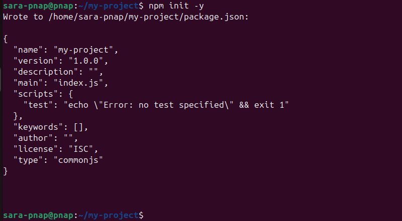 npm init -y terminal output