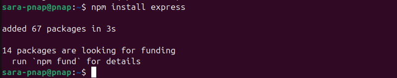 npm install express terminal output