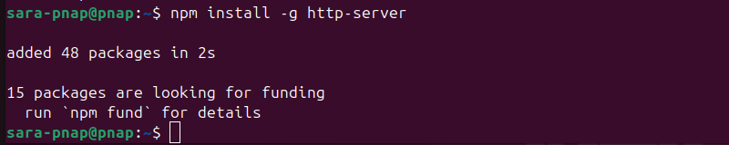 npm install -g http-server terminal output
