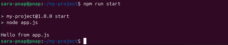 npm run start terminal output