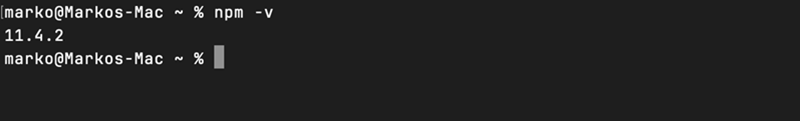 npm -v macOS terminal output