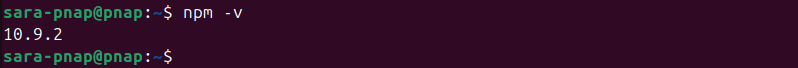 npm -v terminal output