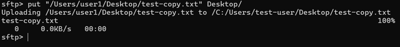 put command command prompt output