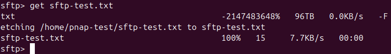 get sftp-test.txt terminal output