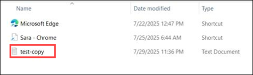 Test file on a redirected drive