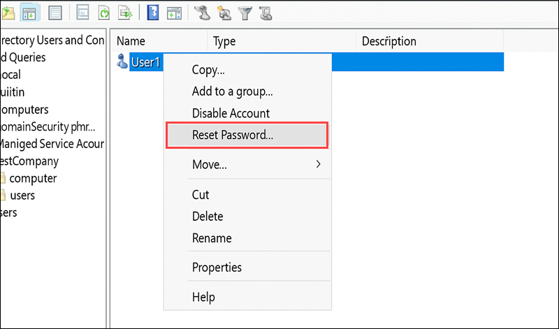 User1 reset Password