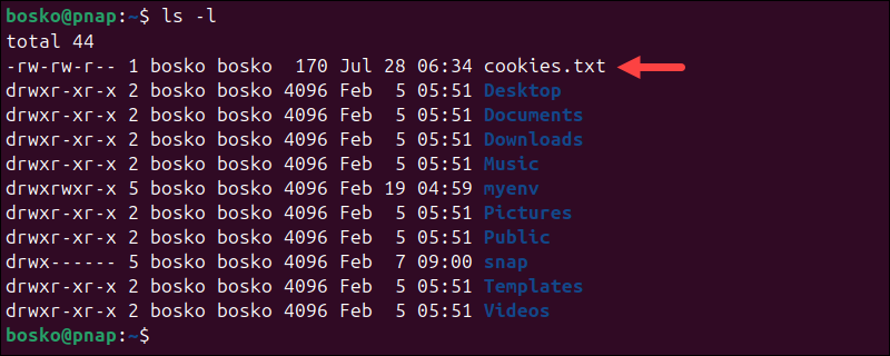 Verifying that the cookies file was created.
