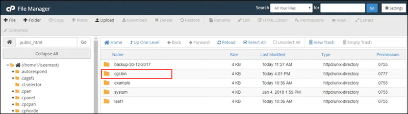 The cgi-bin directory on a web server.