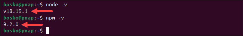 Verify Node.js and npm installation.