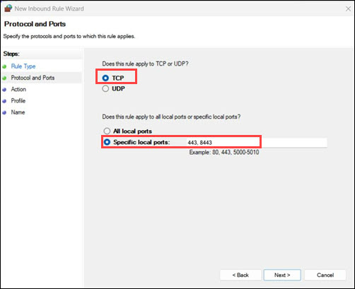 Choose TCP, then select Specific local ports and enter 443,8443