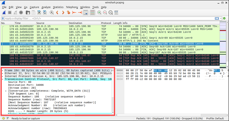 Packet payload details in Wireshark.