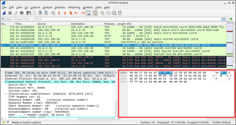Raw packet details in Wireshark.