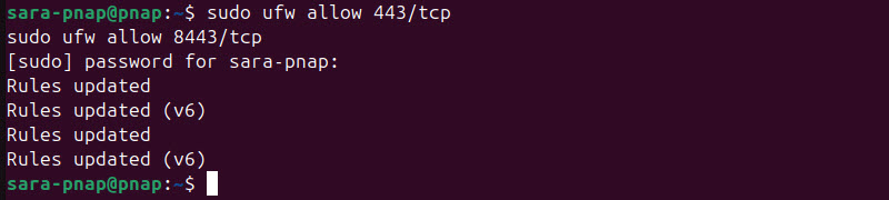 sudo ufw allow terminal output