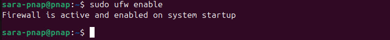 sudo ufw enable terminal output