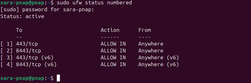 sudo ufw status numbered terminal output