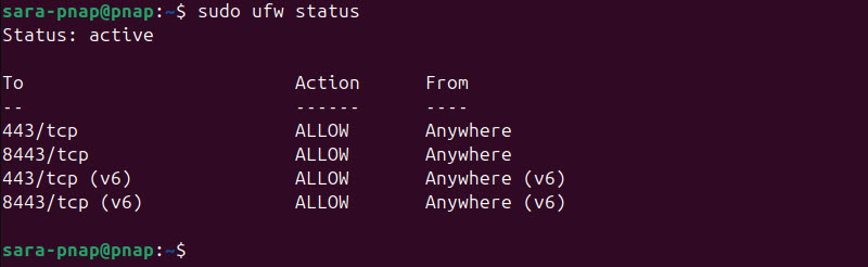 sudo ufw status terminal output