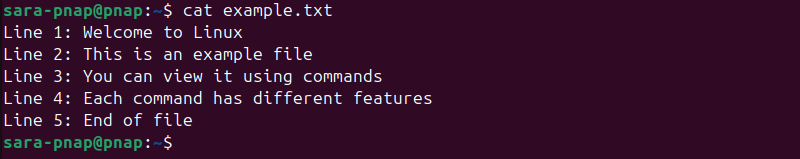 cat example,txt terminal output