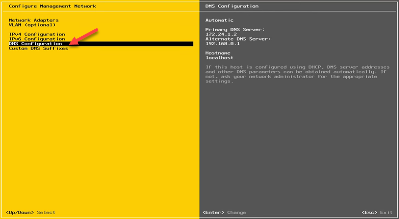 The location of the DNS configuration item.