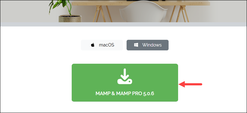 Download MAMP for Windows.