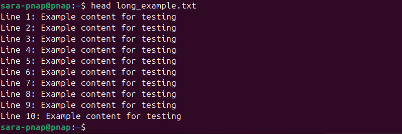 head long_example.txt terminal output