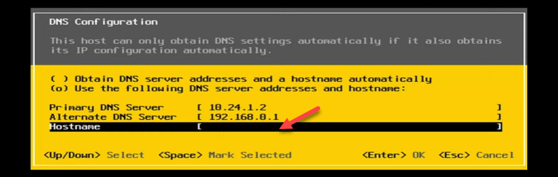 Configuring DNS.