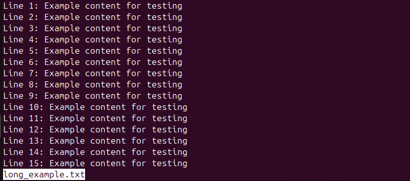 less long_example.txt terminal output