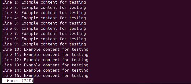 more long_example.txt terminal output