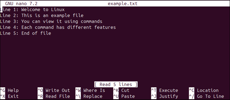 nano example.txt terminal output