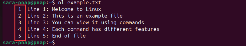 nl example.txt terminal output