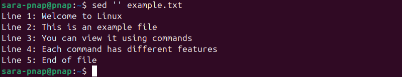 sed '' example.txt terminal output