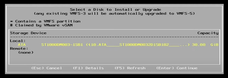 Selecting a disk for the installation.